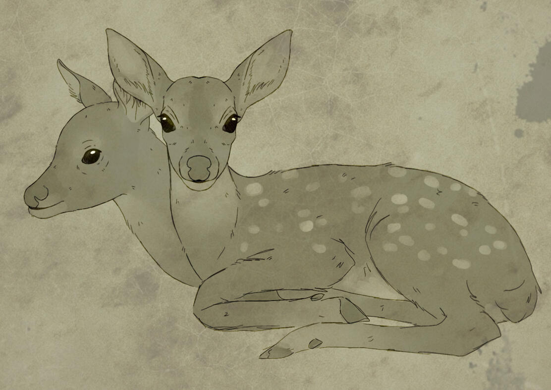 Two-Headed Deer Software Used: Procreate